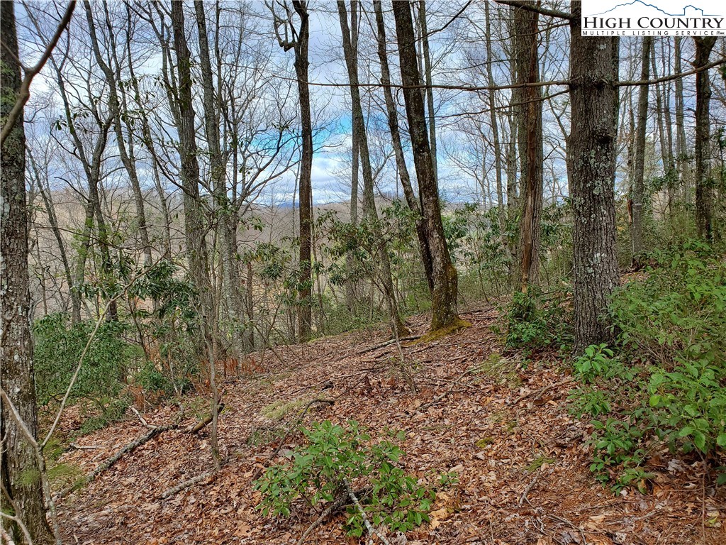 Lot 8 River Ridge Road Boone, NC 28607 - Photo 4 of 7 Gallery Image 4