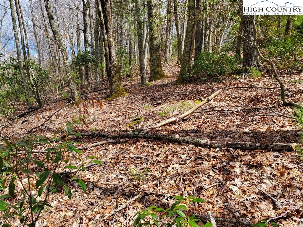 Lot 8 River Ridge Road Boone, NC 28607 - Photo 5 of 7 Gallery Image 5