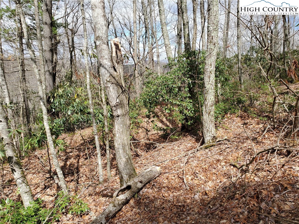 Lot 8 River Ridge Road Boone, NC 28607 - Photo 7 of 7 Gallery Image 7