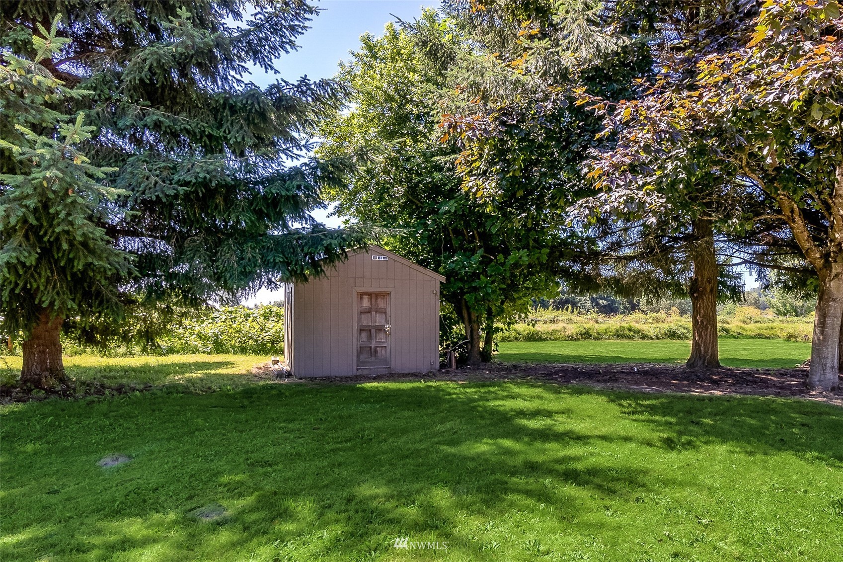 21847 Frager Road South Kent, WA 98032 - Photo 30 of 34 a view of a backyard with large trees
