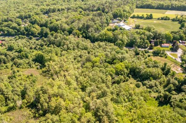 a view of a bunch of trees and houses