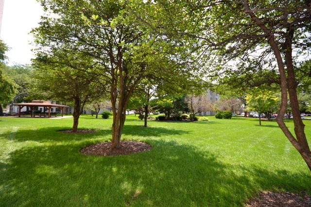 9720 South Pulaski Road, Unit 302 Oak Lawn, IL 60453 - Photo 20 of 20