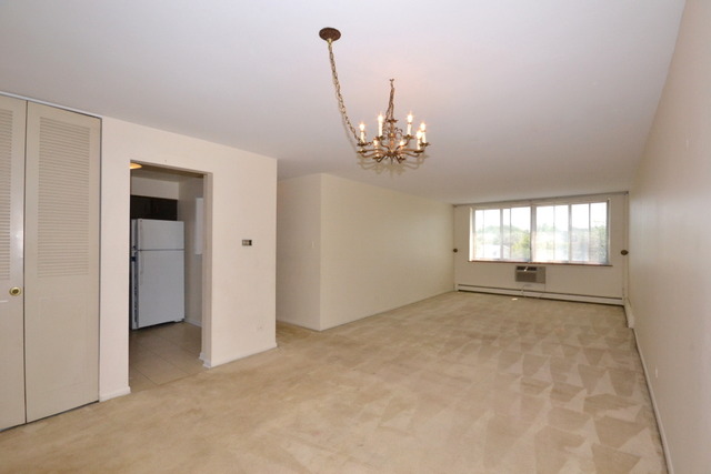 9720 South Pulaski Road, Unit 302 Oak Lawn, IL 60453 - Photo 4 of 20