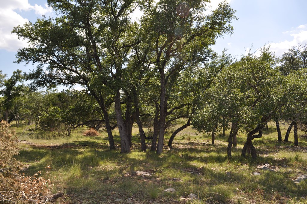 541 Rough Hollow Road Johnson City, TX 78636 - Photo 20 of 30 Gallery Image 20