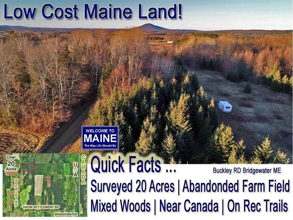 bridgewater-maine-land-buck