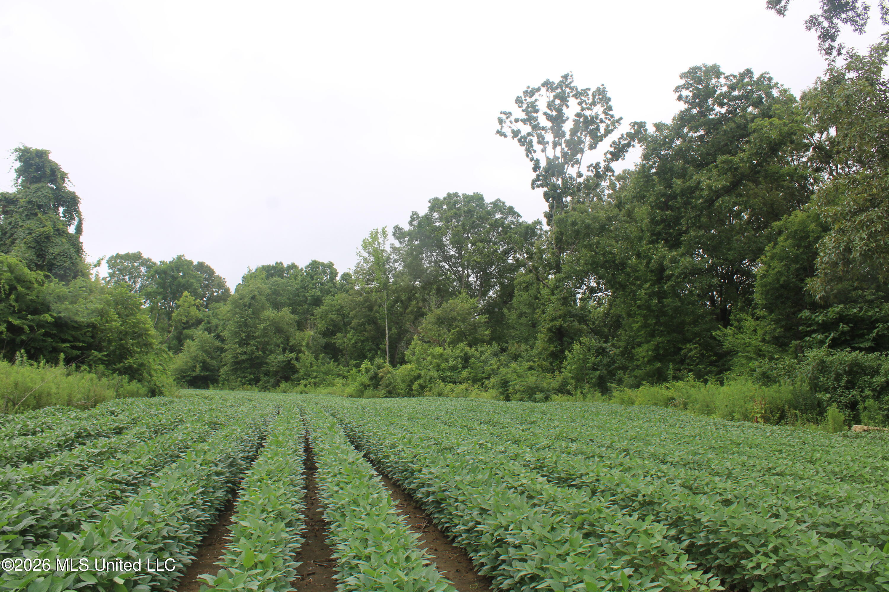 1500 Allen Corner Road Lamar, MS 38642 - Photo 2 of 17 IMG_7983