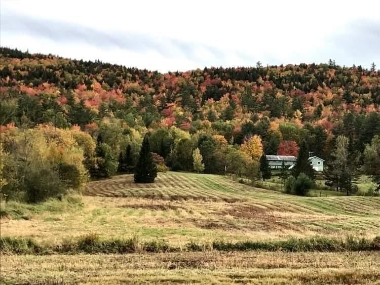 462 South Rumford Road Rumford, ME 04276 - Photo 29 of 68 Fall foliage