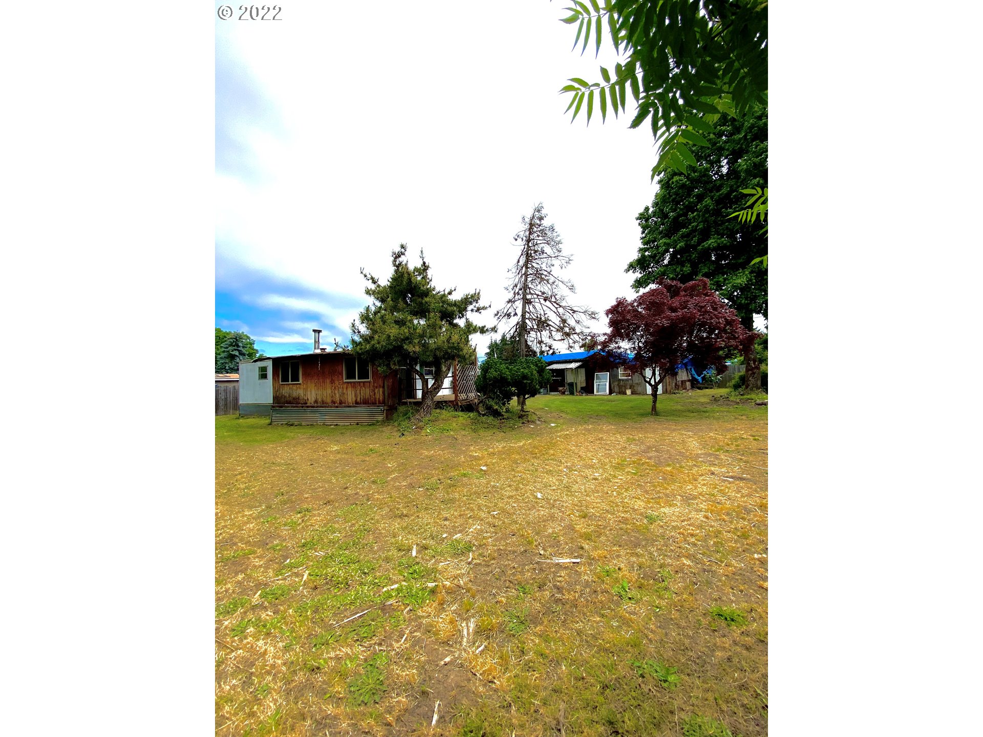 1172 North 34th Street Springfield, OR 97478 - Photo 1 of 6