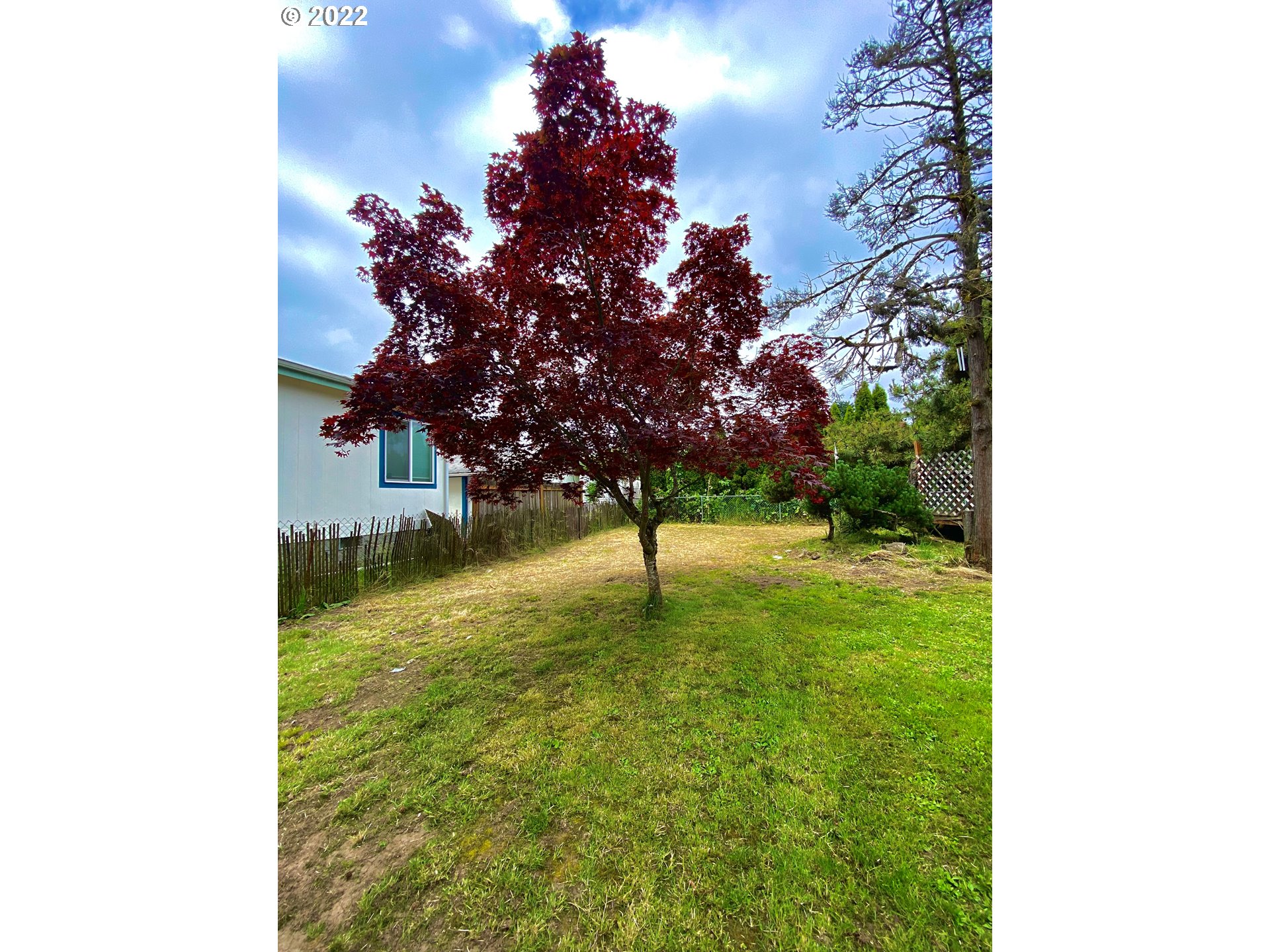 1172 North 34th Street Springfield, OR 97478 - Photo 3 of 6