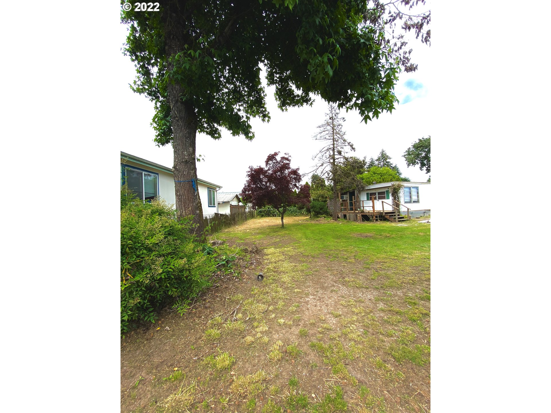 1172 North 34th Street Springfield, OR 97478 - Photo 4 of 6