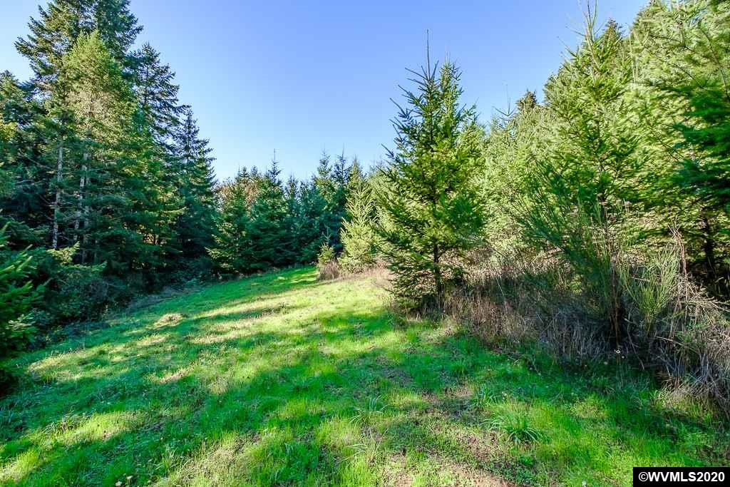 15555 Strong (next To) Road Dallas, OR 97338 - Photo 8 of 11