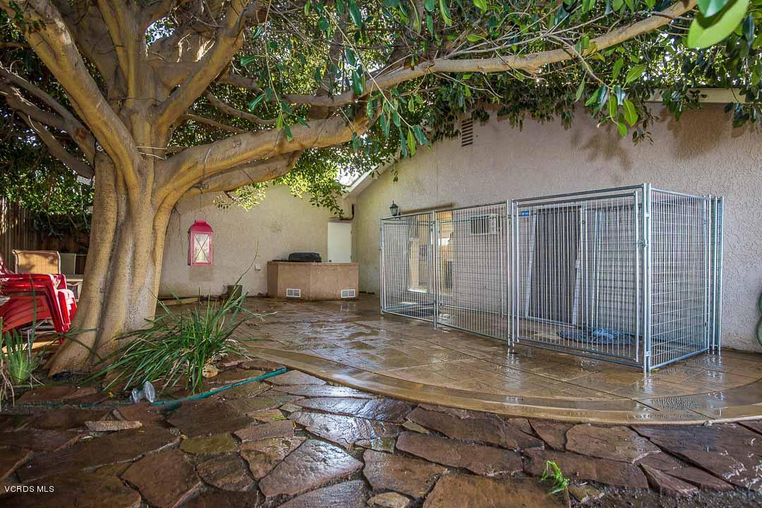 4221 Helene Street Simi Valley, CA 93063 - Photo 36 of 58 Incredible Tree