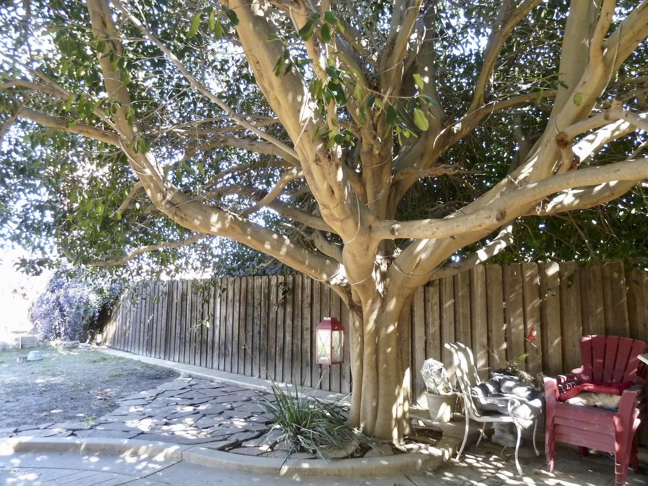 4221 Helene Street Simi Valley, CA 93063 - Photo 41 of 58 P1090783