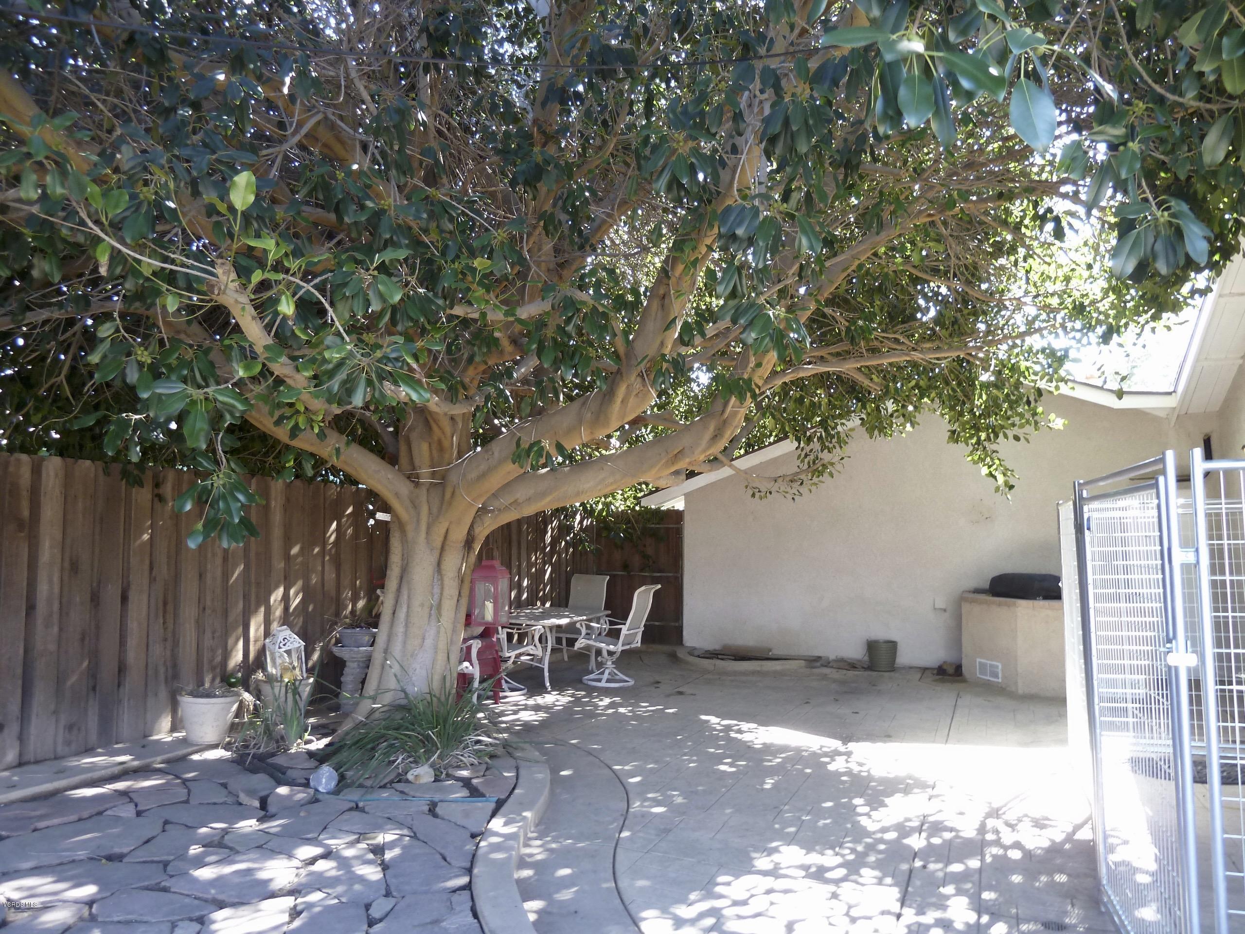 4221 Helene Street Simi Valley, CA 93063 - Photo 44 of 58 P1090789