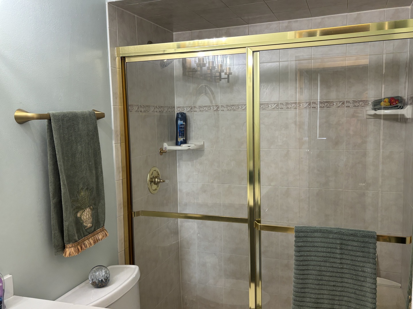 40 North Tower Road, Unit 10 Oak Brook, IL 60523 - Photo 14 of 37