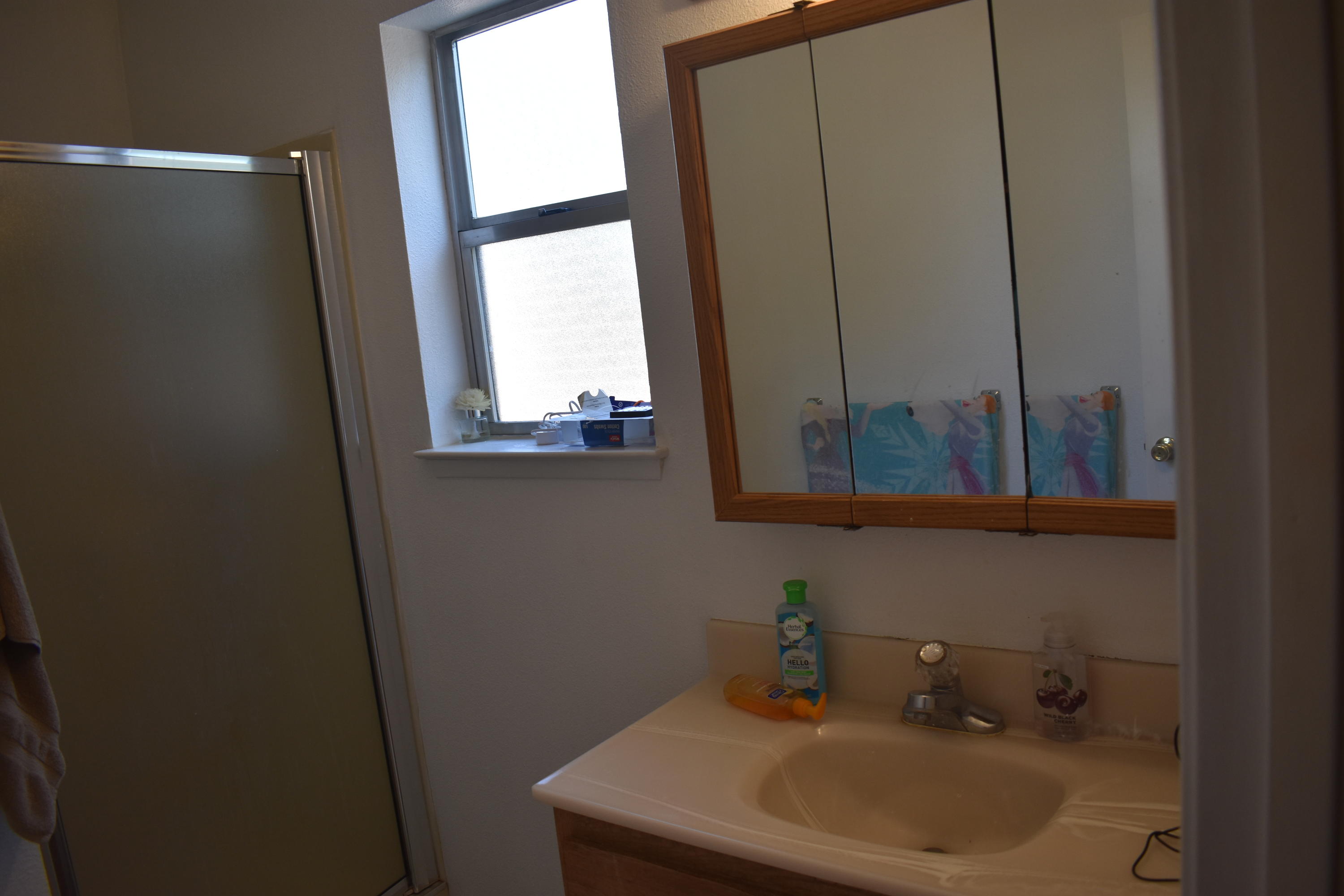 2455 Belladonna Street Redding, CA 96002 - Photo 16 of 26 DSC_0424