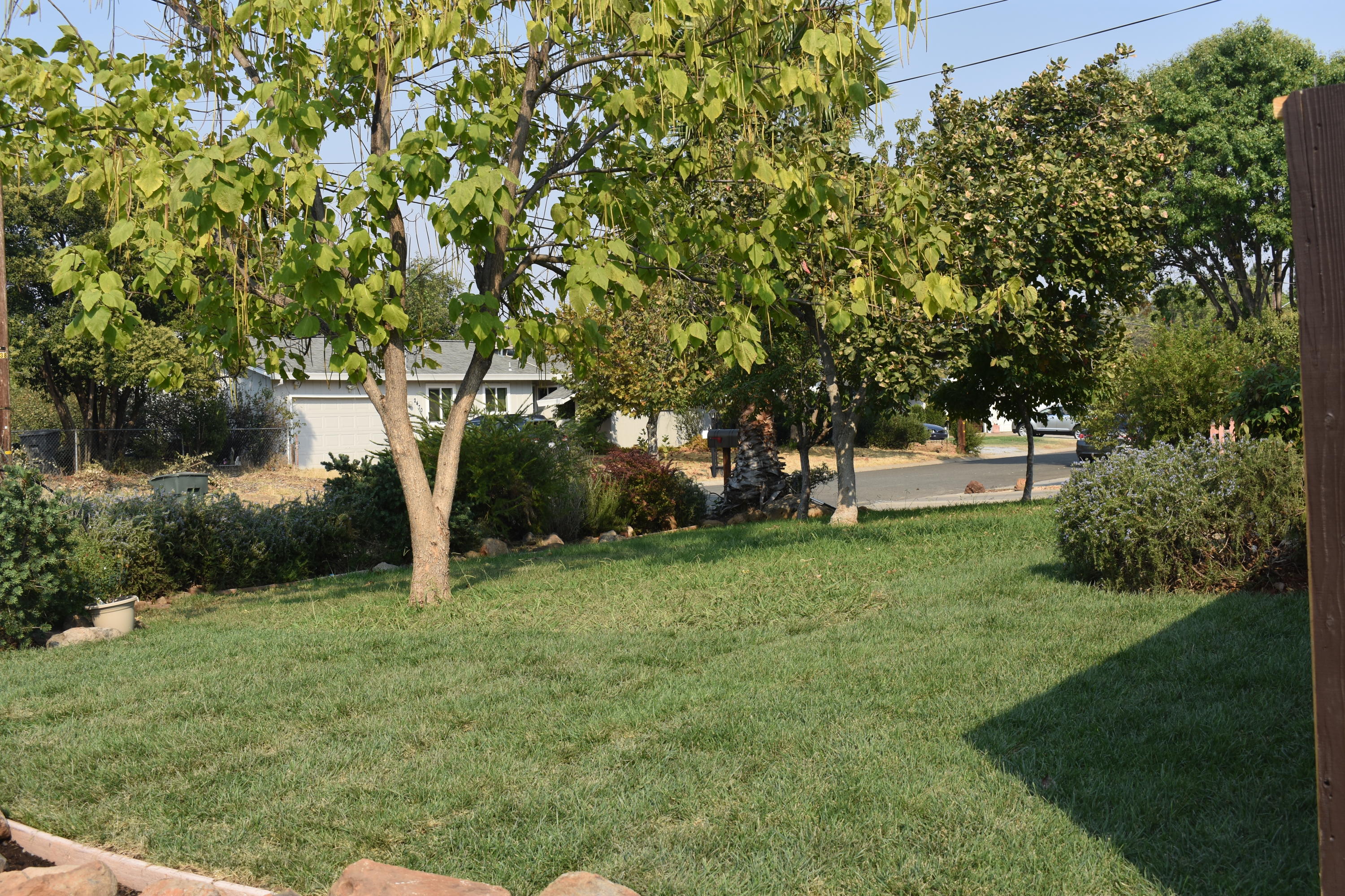 2455 Belladonna Street Redding, CA 96002 - Photo 20 of 26 DSC_0460