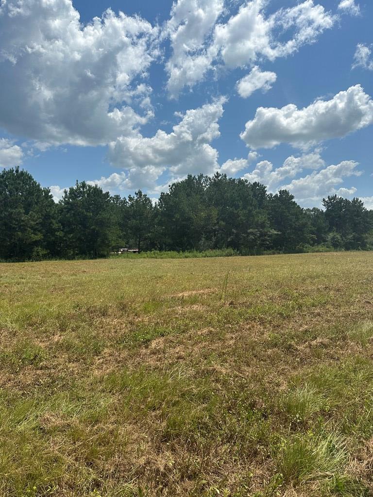 0 Thomley Road Newton, AL 36352 - Photo 4 of 8