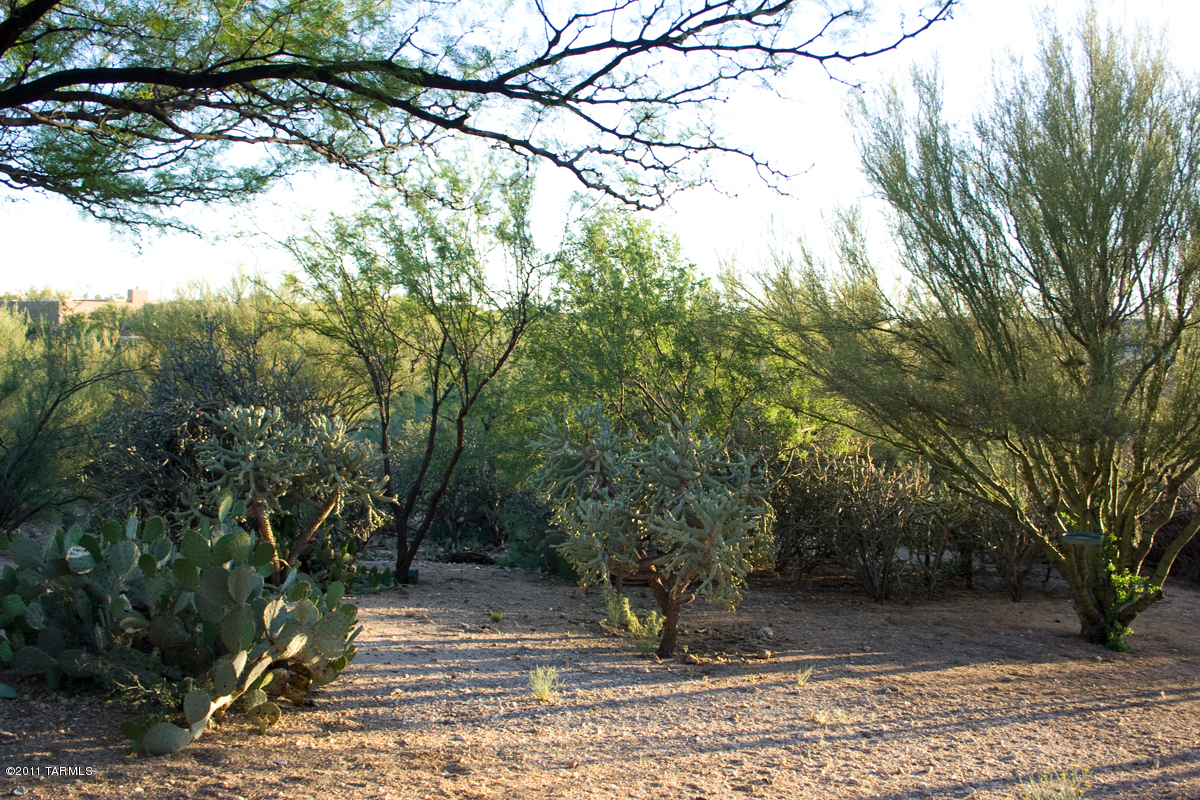 515 North Tanque Verde Loop Road Tucson, AZ 85748 - Photo 36 of 39 Gallery Image 36