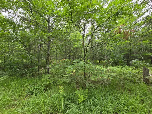 $135,000 | Xxx Xxx Saylors Lane, Frederic, WI 54837