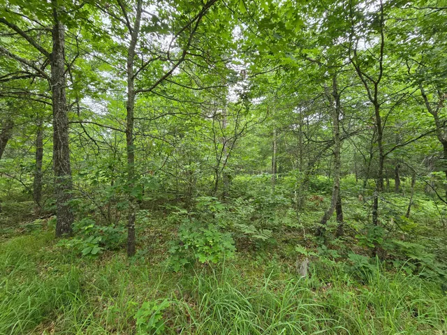 $135,000 | Xxx Xxx Saylors Lane, Frederic, WI 54837