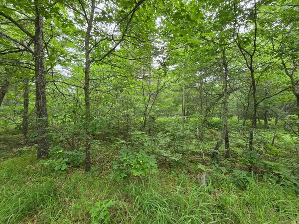 $135,000 | Xxx Xxx Saylors Lane, Frederic, WI 54837