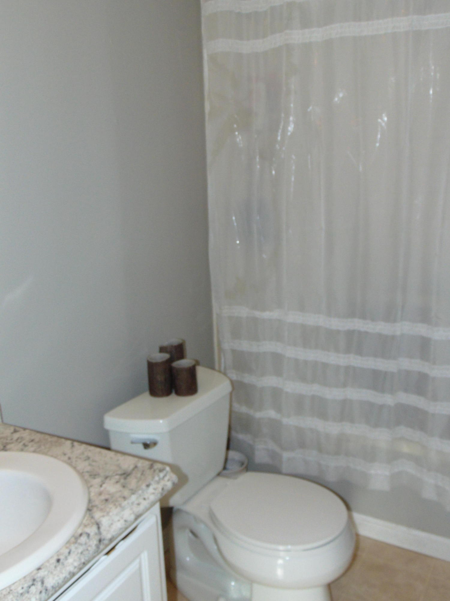 424 Patton Ferry Road Kingston, TN 37763 - Photo 6 of 13 Master Bath