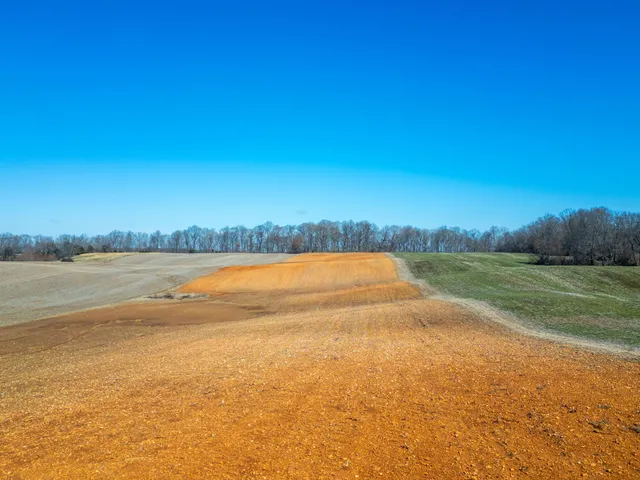 a view of an ocean and beach