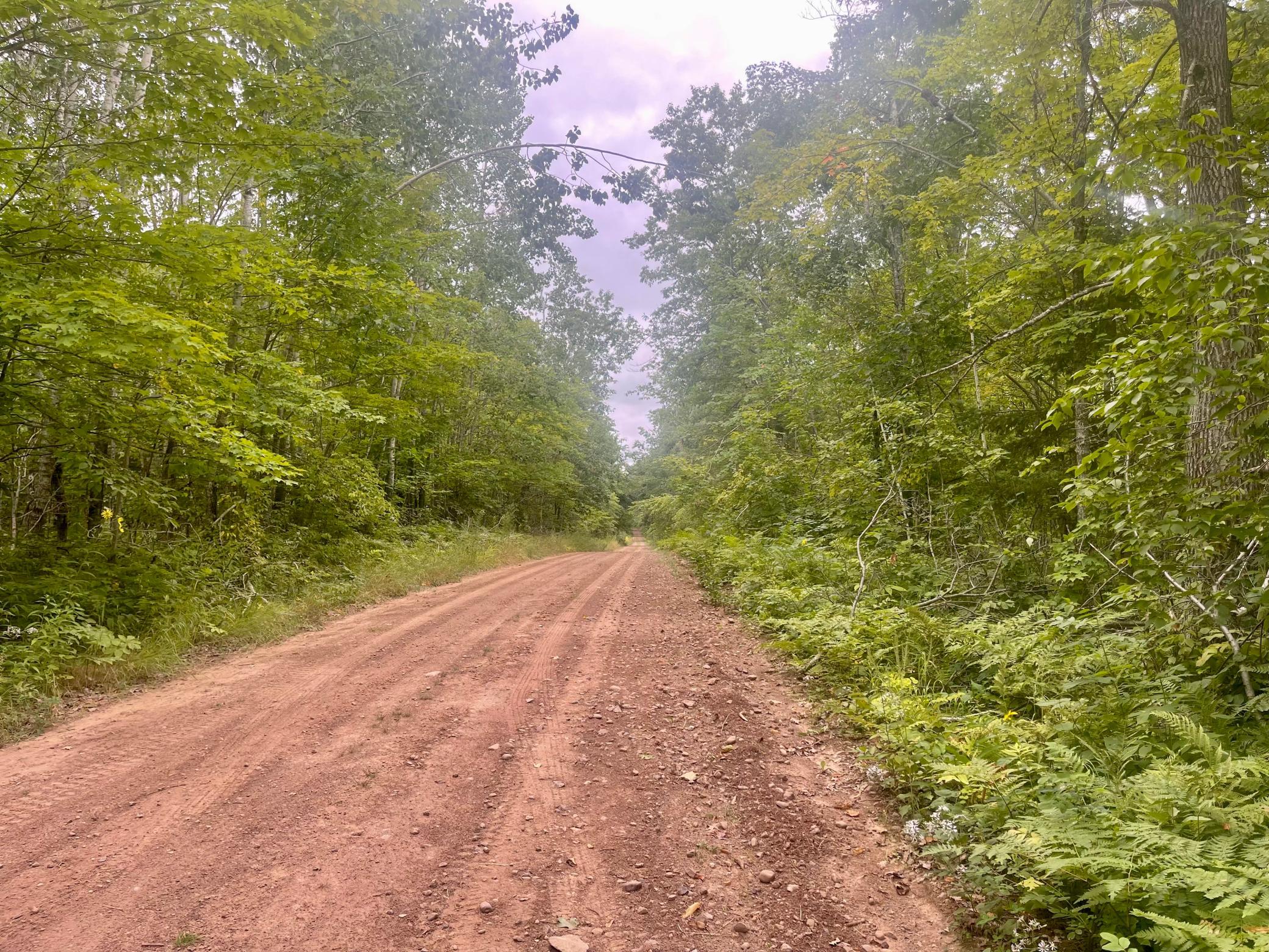 Xxx Duncan Road Sandstone, MN 55072 - Photo 1 of 19 Gallery Image 1