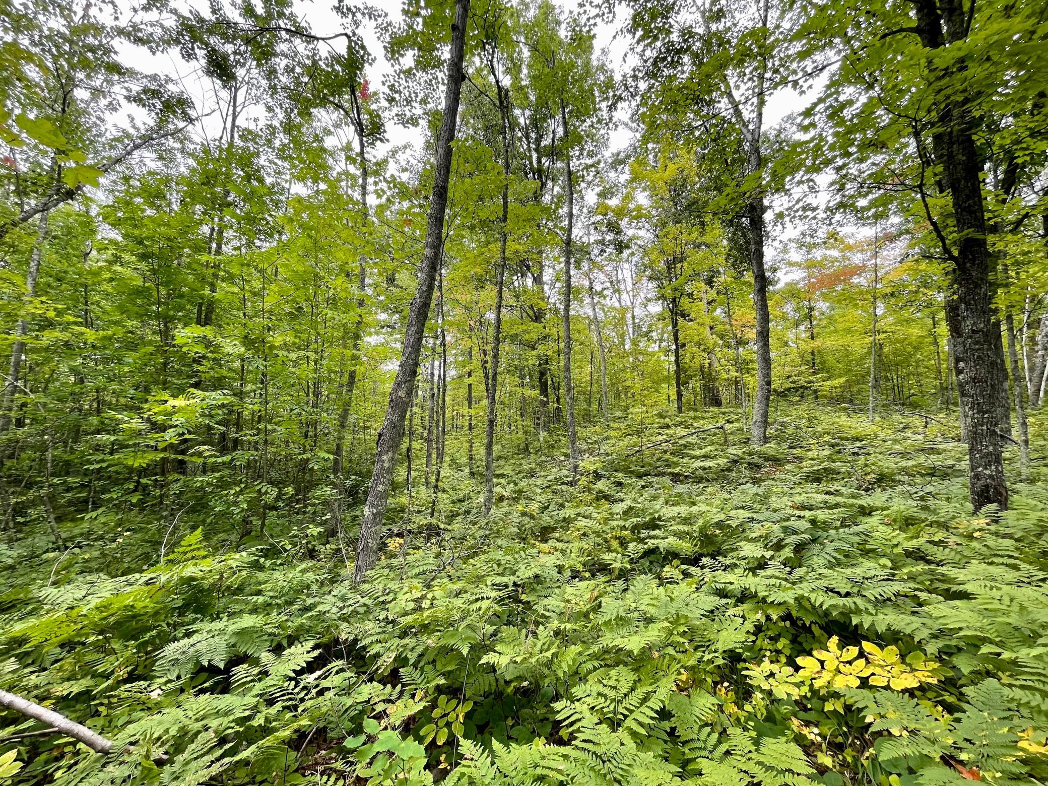 Xxx Duncan Road Sandstone, MN 55072 - Photo 5 of 19 Gallery Image 5