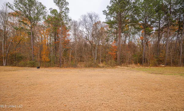 $289,900 | 256 Chartleigh Circle, Canton, MS 39046