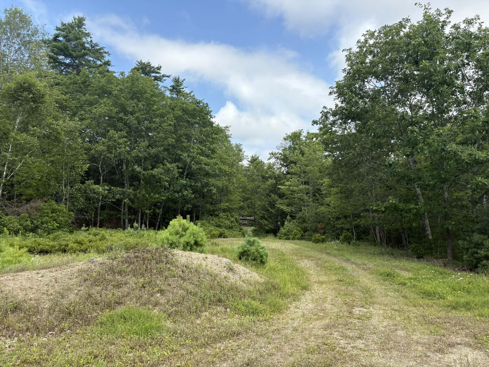 150 Post Office Road Westport Island, ME 04578 - Photo 4 of 9