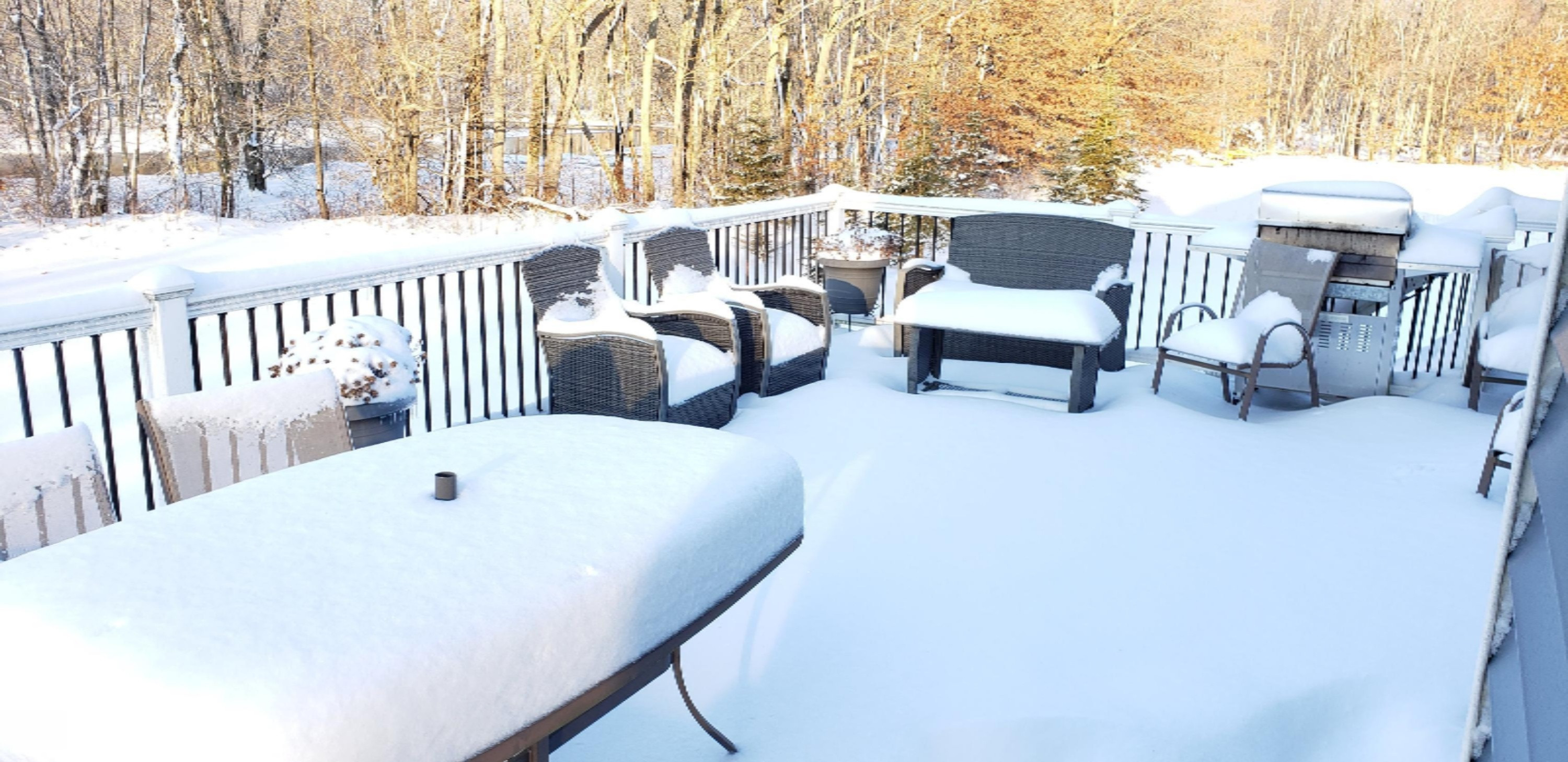 15760 Floating Bridge Road Three Rivers, MI 49093 - Photo 66 of 81 20190213_171356
