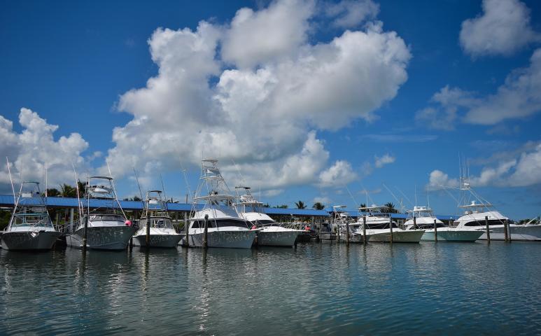 261-271 9th Street Key Colony Beach, FL 33051 - Photo 50 of 68 a view of ocean with boats and trees in the background
