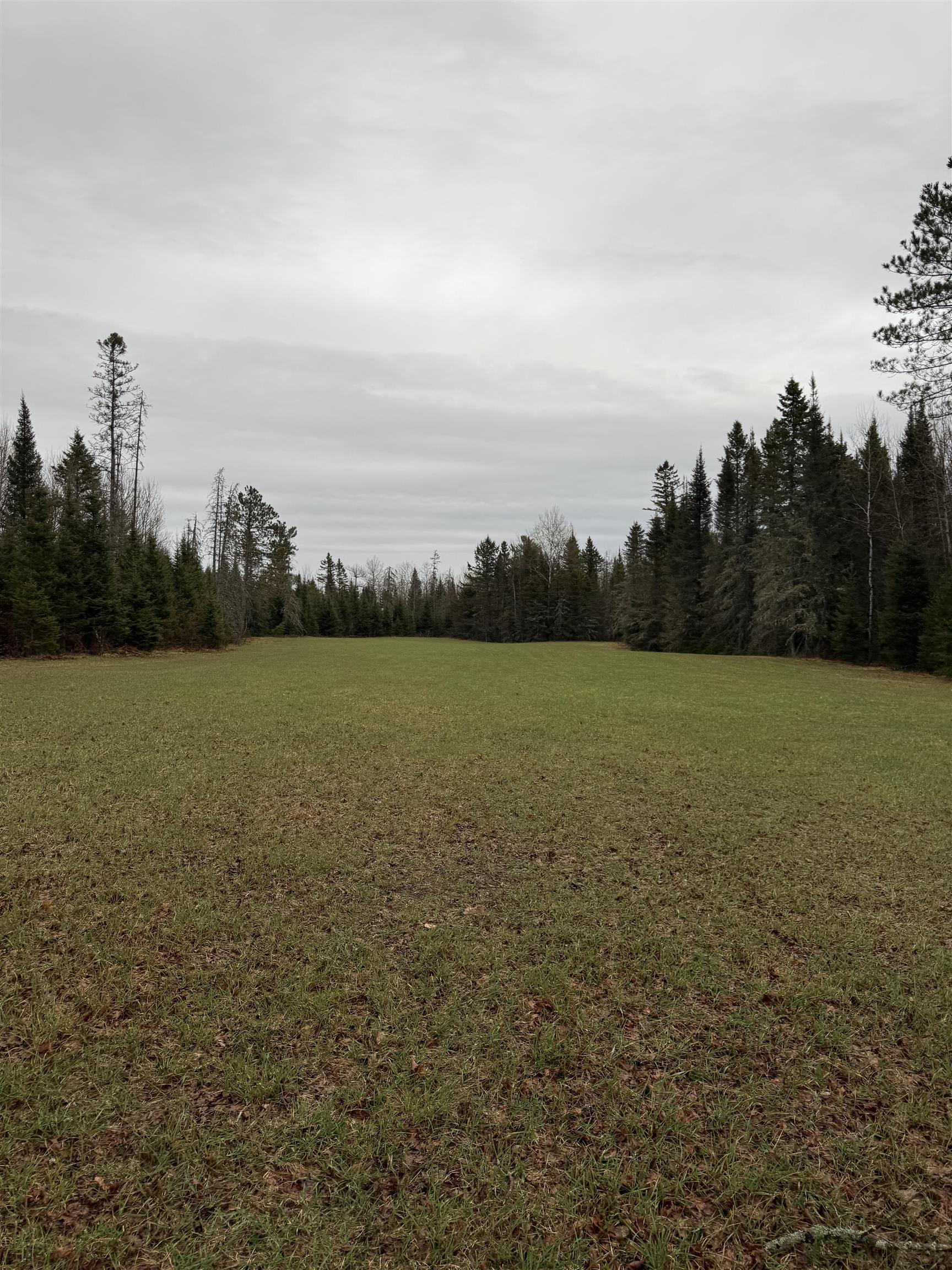 0 County Rd S H Felch, MI 49831 - Photo 14 of 18