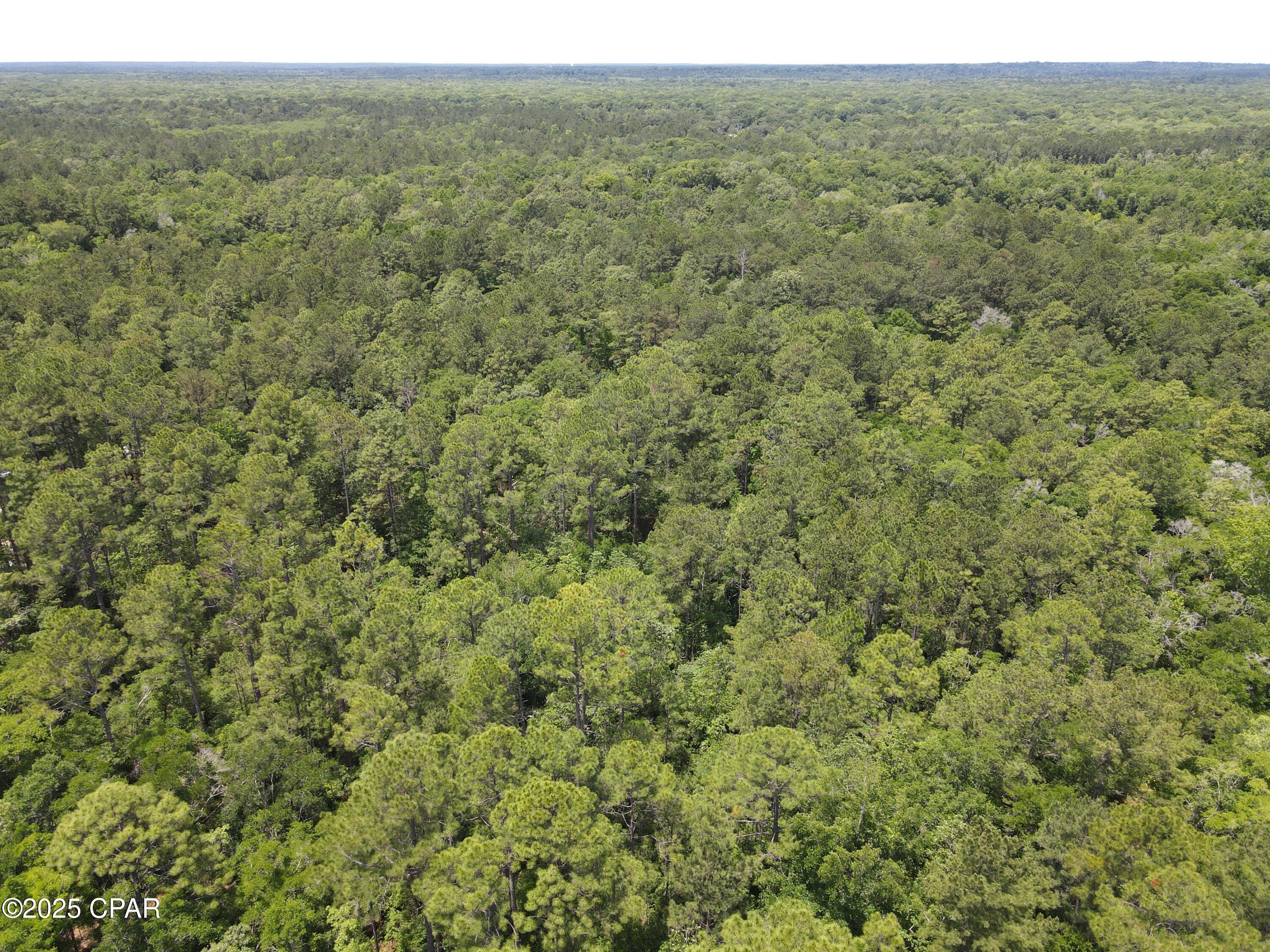 5266 Choctaw Road Vernon, FL 32462 - Photo 15 of 16
