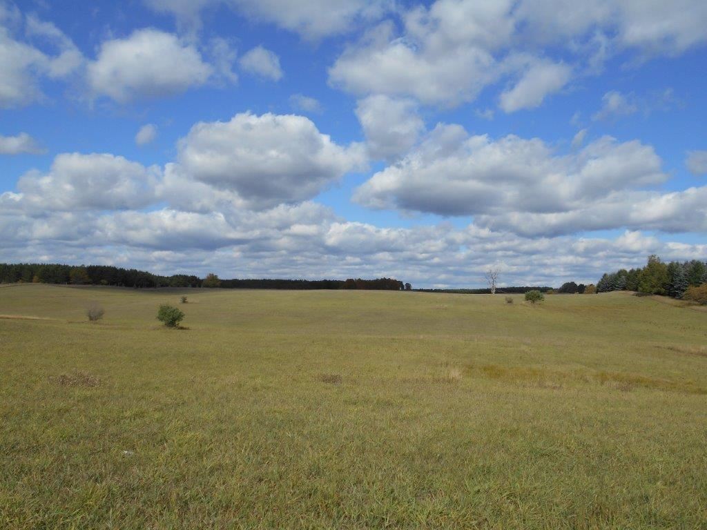 1847 East 24 Road Cadillac, MI 49601 - Photo 30 of 49 1794329-29.JPG