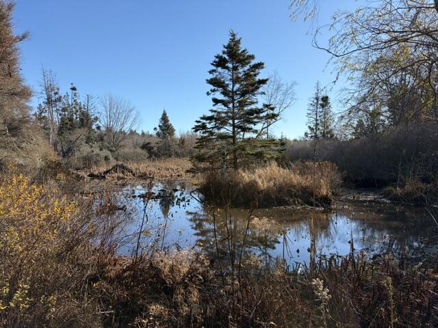 Lot 12-004 Coombs Neck Road Vinalhaven, ME 04863 - Photo 10 of 10
