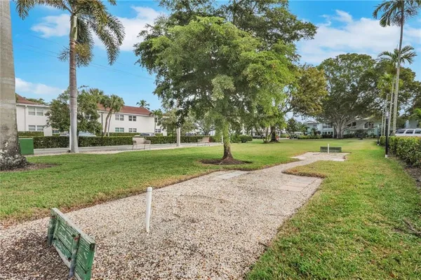 a view of a park with large trees