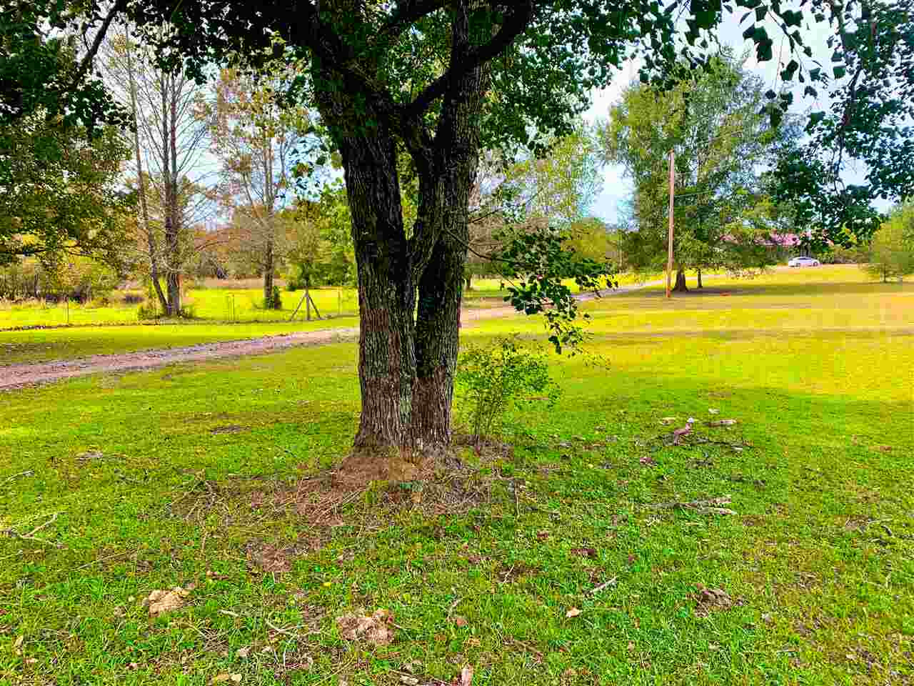 512 Country Club Road Canton, MS 39046 - Photo 3 of 29 Photo 3