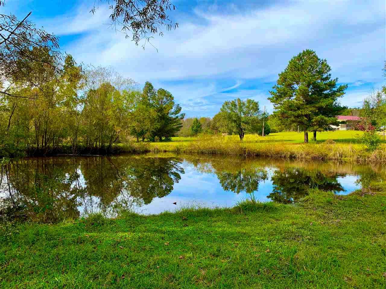 512 Country Club Road Canton, MS 39046 - Photo 5 of 29 Photo 5