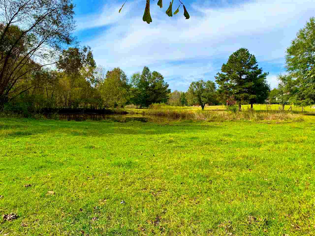 512 Country Club Road Canton, MS 39046 - Photo 7 of 29 Photo 7