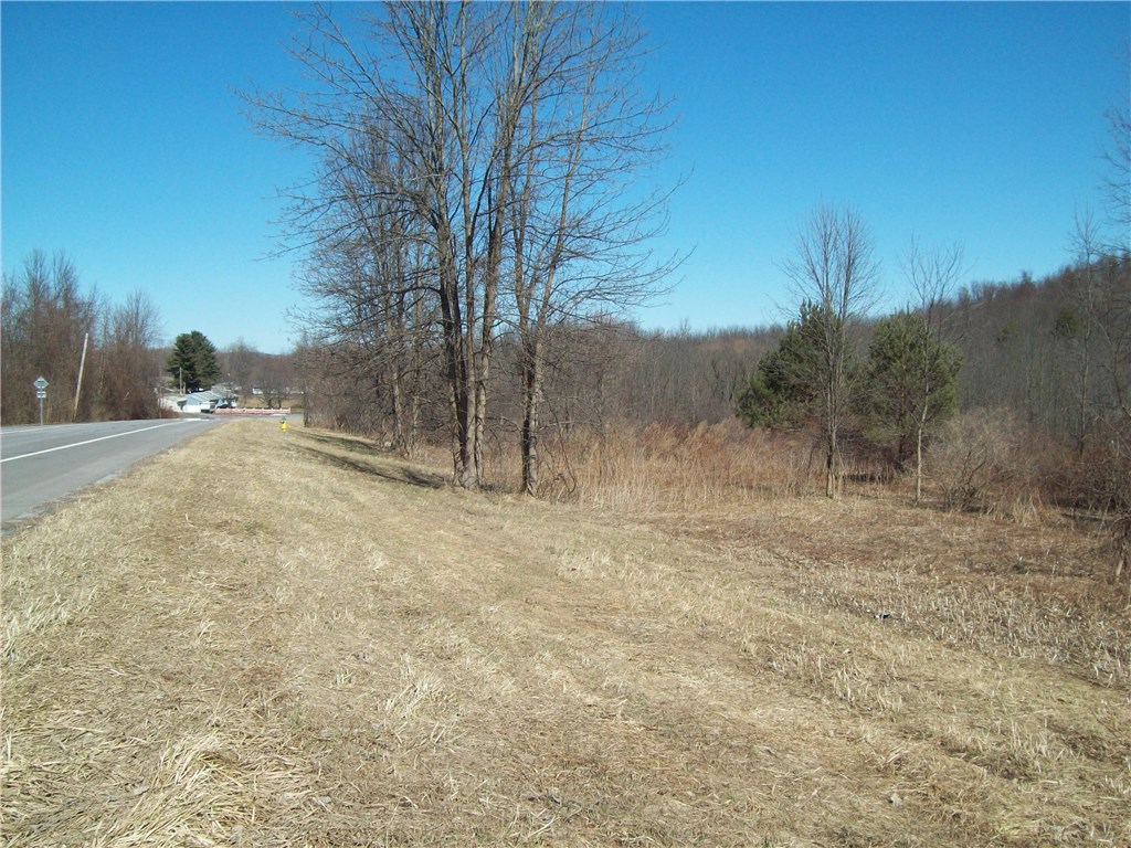 0 Route 21 Road Palmyra, NY 14522 - Photo 1 of 1 Gallery Image 1