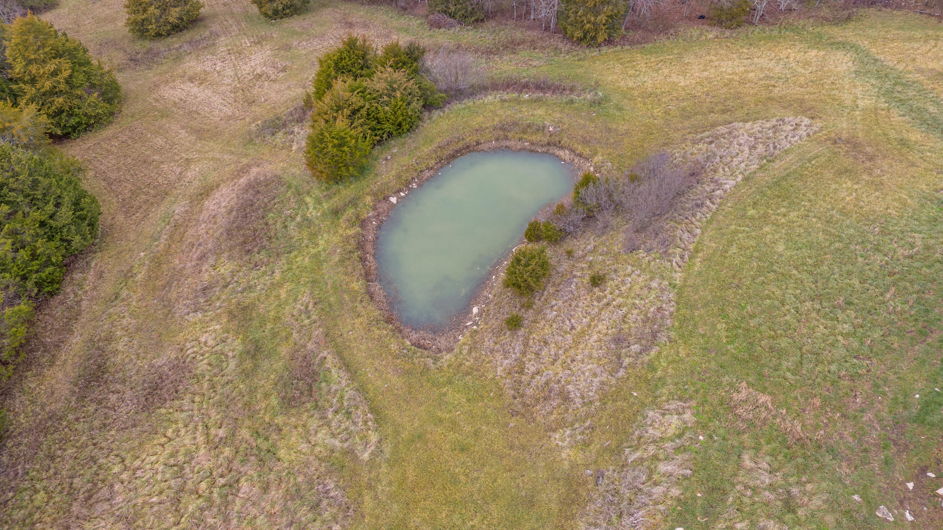 1765 Old Monterey Road Owenton, KY 40359 - Photo 8 of 41 dji_20241219102524_0022_d