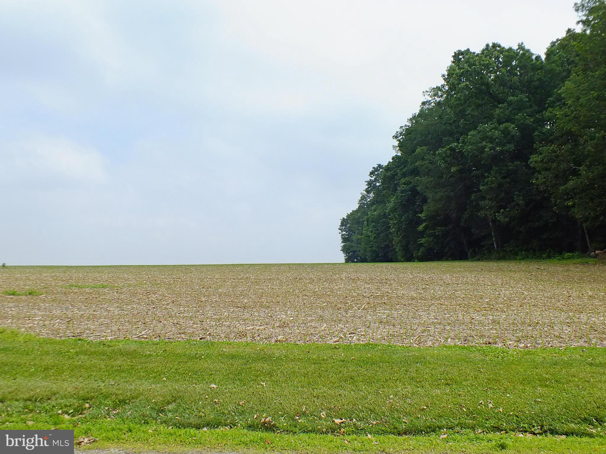 4124 Utz Road Hampstead, MD 21074 - Photo 2 of 30 View out front