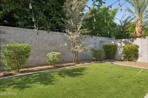 a view of a backyard