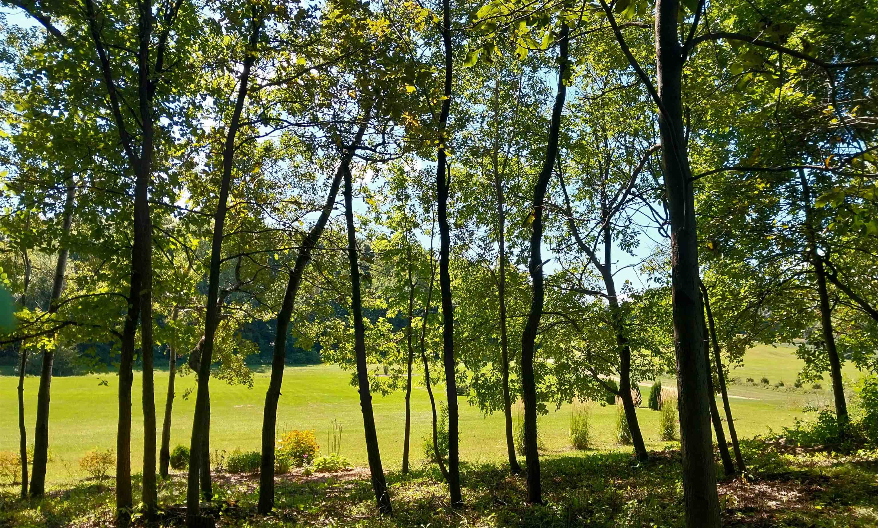 W3049 Delmore Road Lyndon Station, WI 53944 - Photo 5 of 8