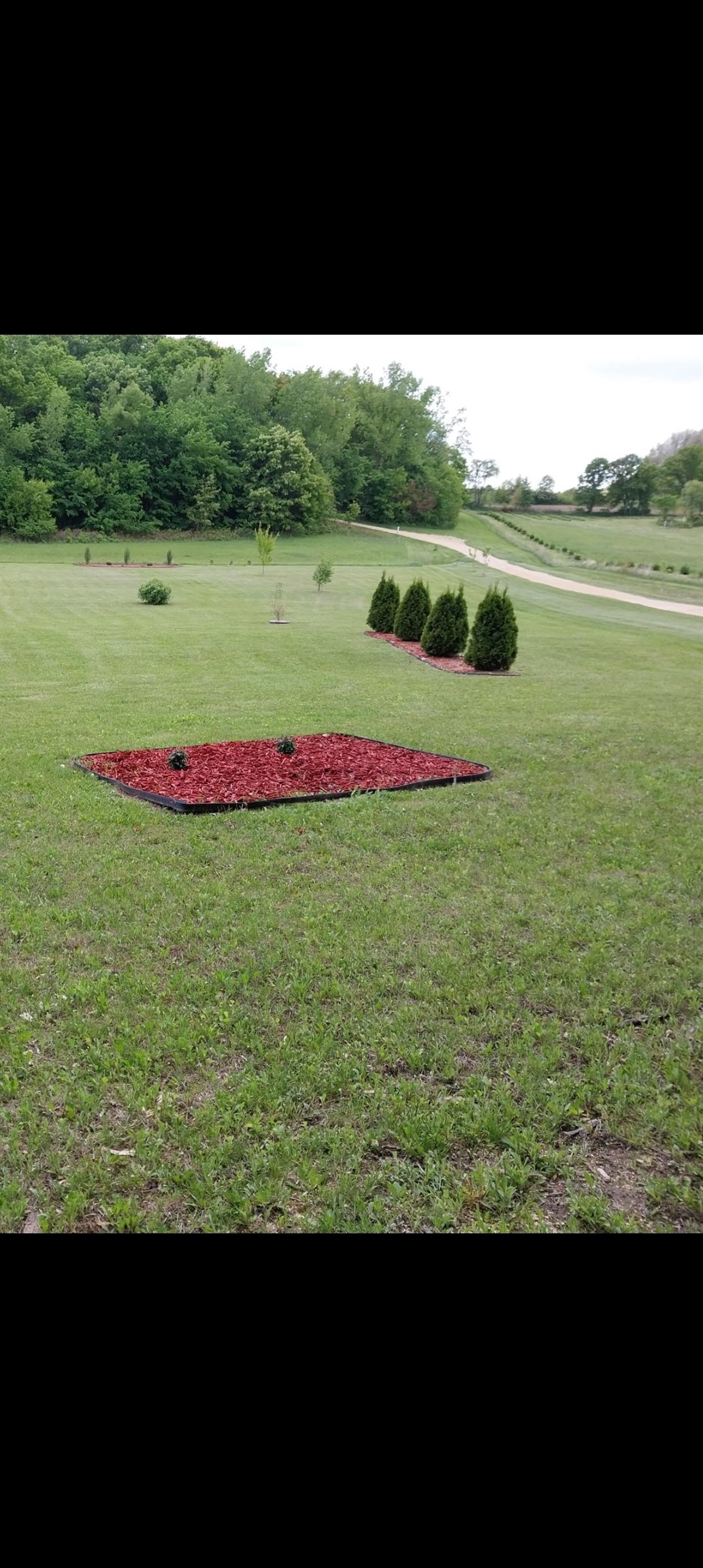 W3049 Delmore Road Lyndon Station, WI 53944 - Photo 8 of 8