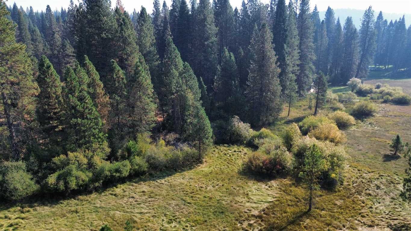 Spring Meadows Road McCloud, CA 96057 - Photo 4 of 16 Gallery Image 4