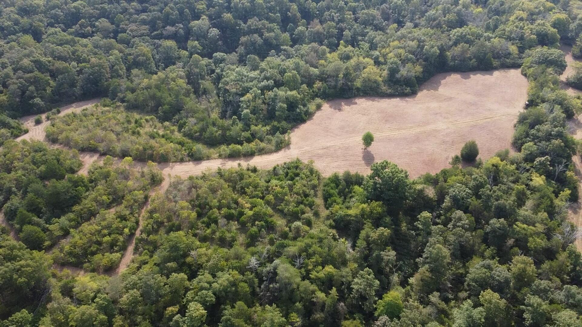 0 County Line Road Columbia, KY 42728 - Photo 24 of 28 Untitled1